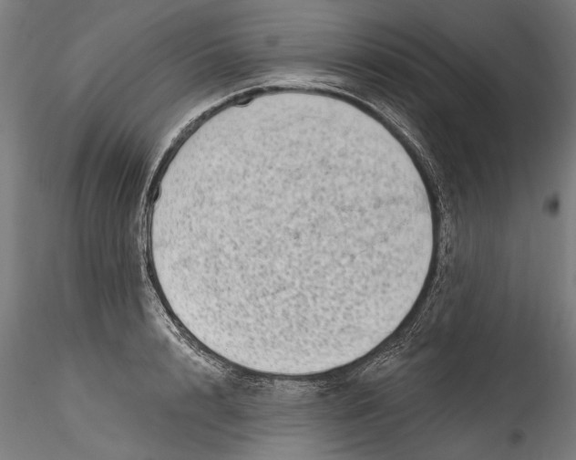 X0000115520848200911271321