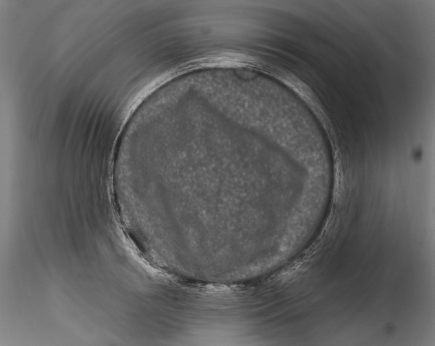 X0000115520850200911271321