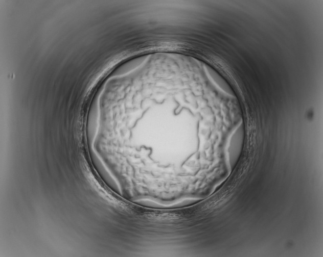 X0000115520851200911271321