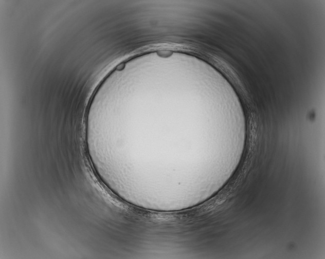 X0000115520852200911271321