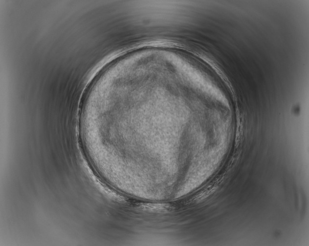 X0000115520853200911271321