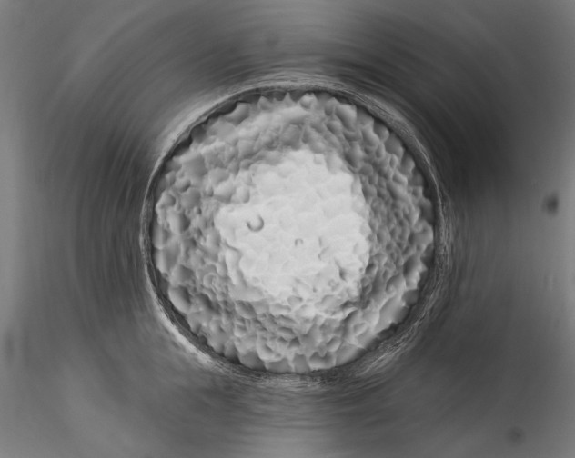 X0000115520855200911271321