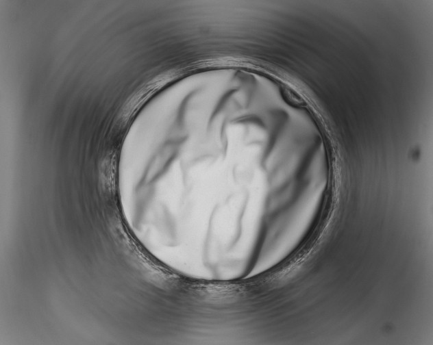 X0000115520857200911271321