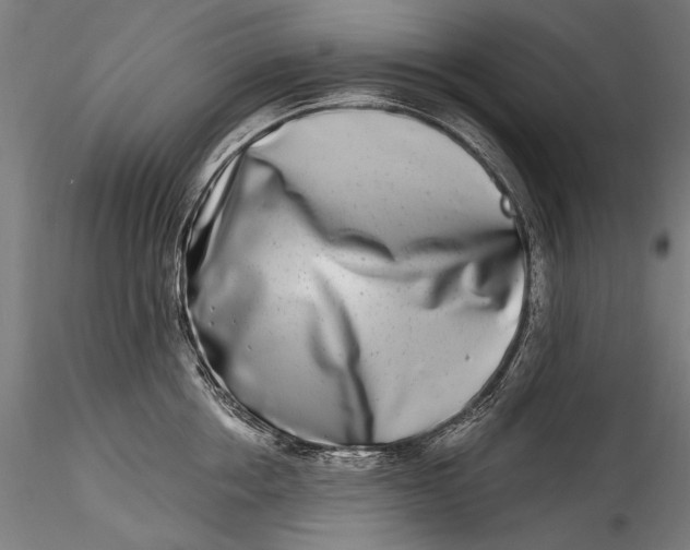 X0000115520858200911271321