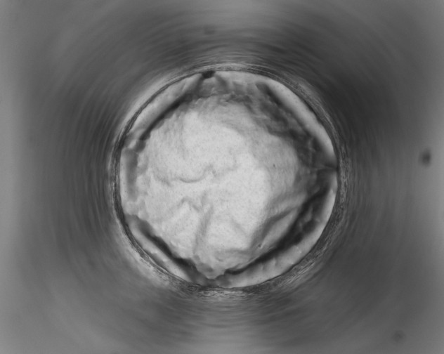 X0000115520859200911271321