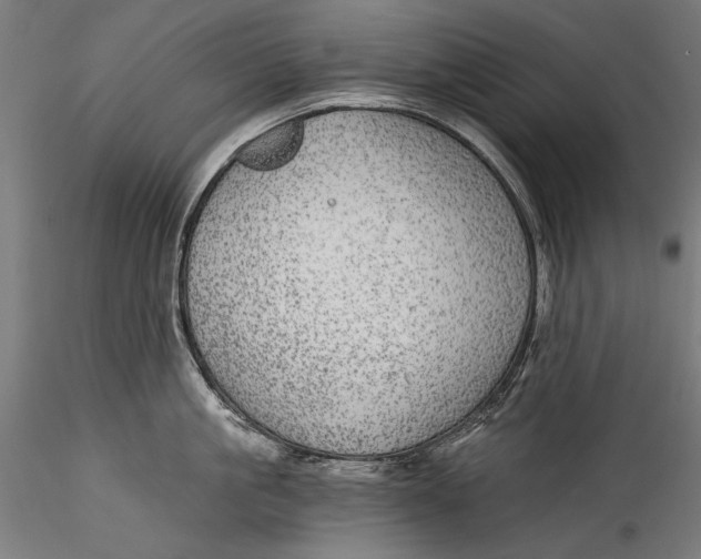 X0000115520861200911271321