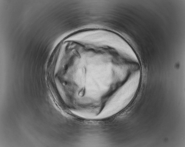 X0000115520862200911271321