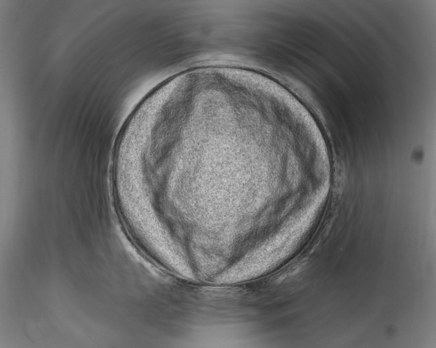 X0000115520863200911271321