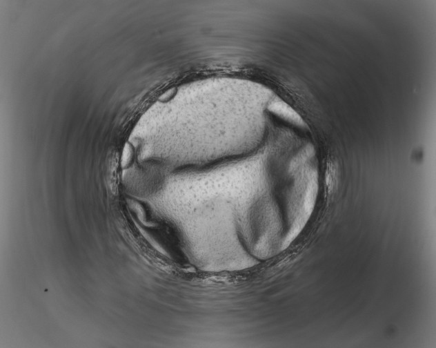 X0000115520867200911271321