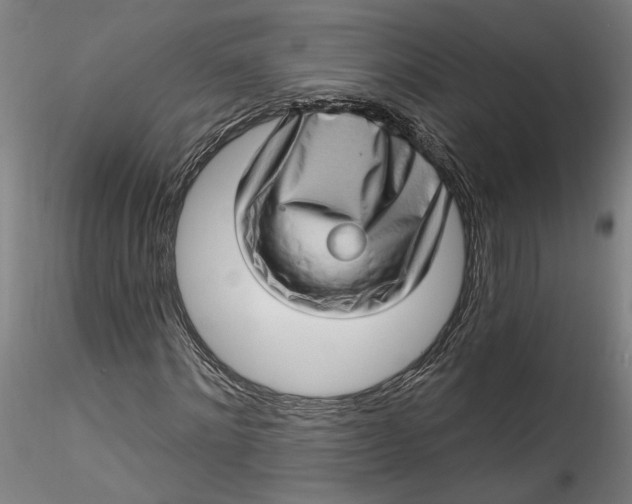 X0000115520868200911271321