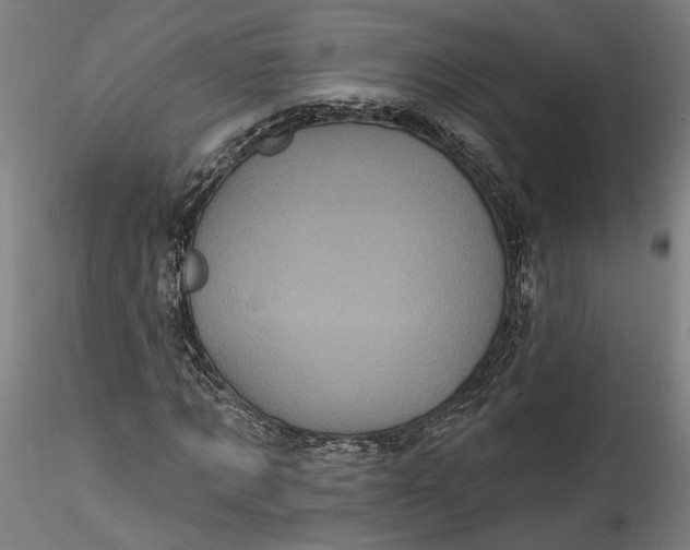 X0000115520869200911271321