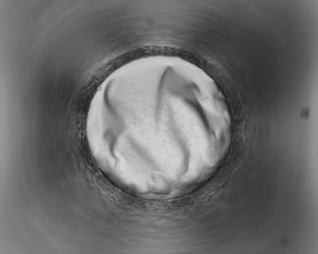 X0000115520870200911271320