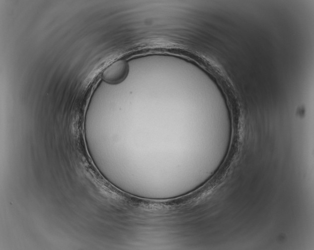 X0000115520873200911271320