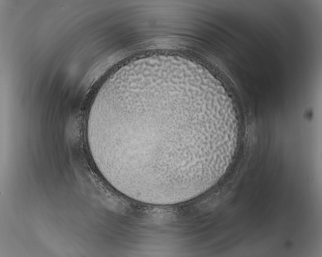 X0000115520874200911271320