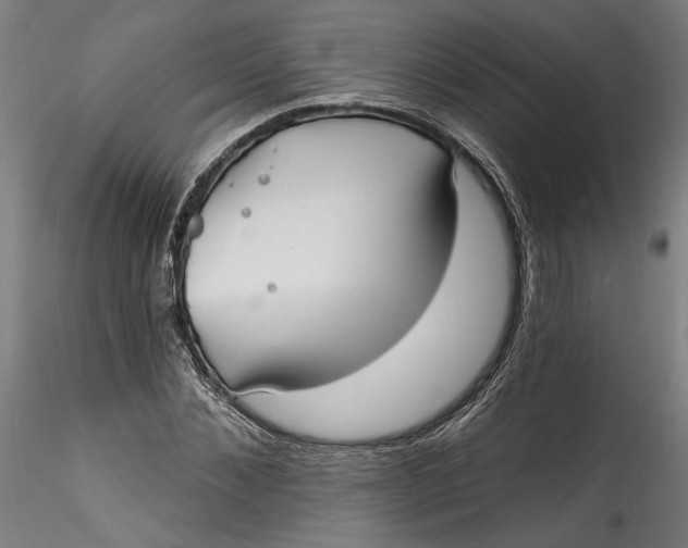 X0000115520876200911271320