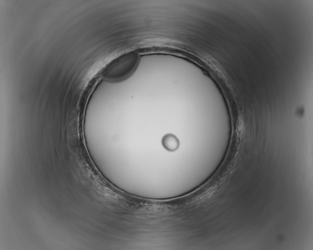 X0000115520877200911271320