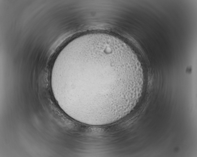 X0000115520878200911271320