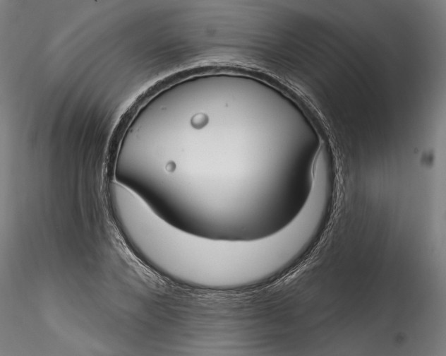 X0000115520880200911271320