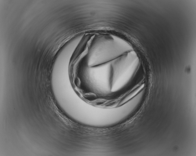 X0000115520881200911271320