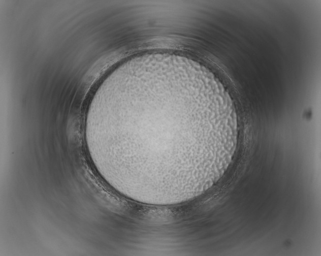 X0000115520882200911271320