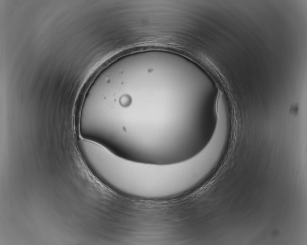 X0000115520884200911271320