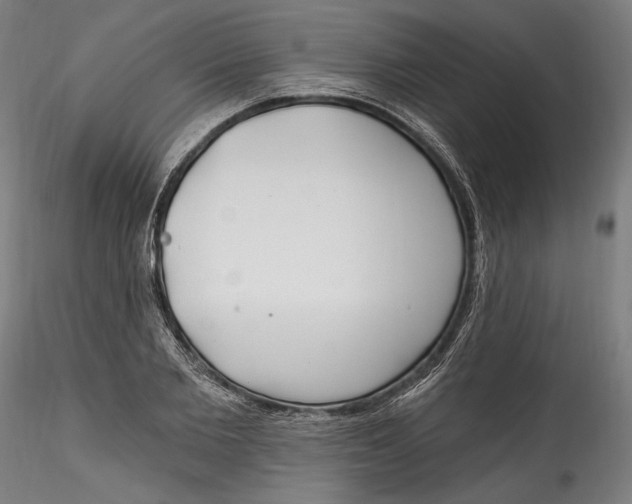 X0000115520885200911271320