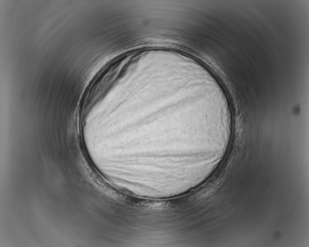 X0000115520891200911271320