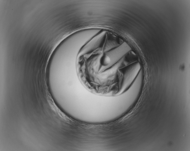 X0000115520892200911271320