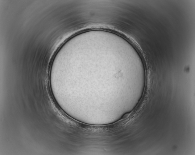 X0000115520895200911271320