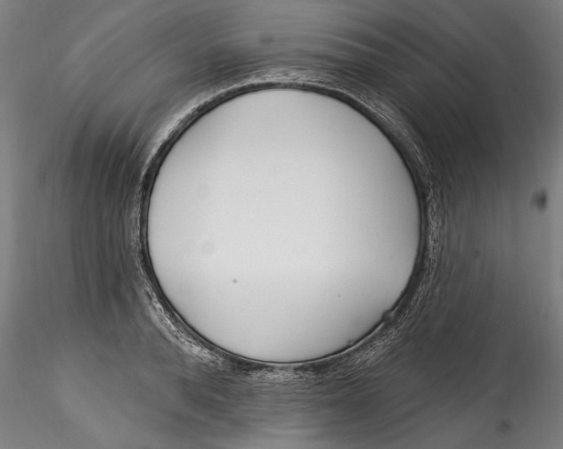 X0000115520896200911271320