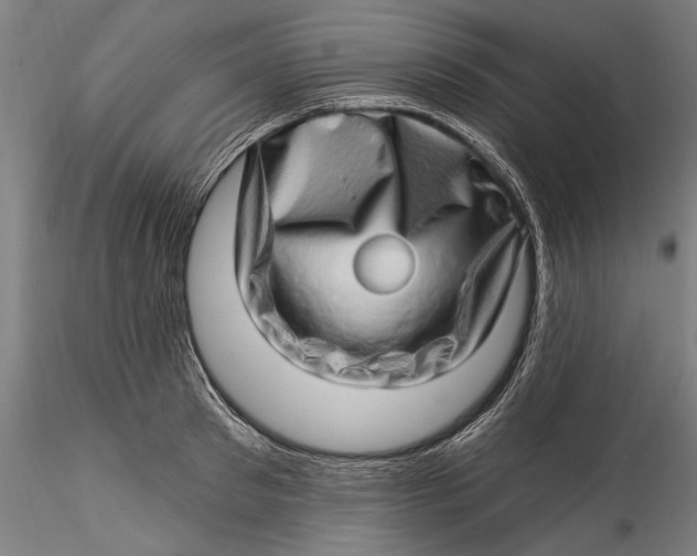 X0000115520897200911271320