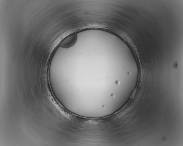 X0000115520898200911271320