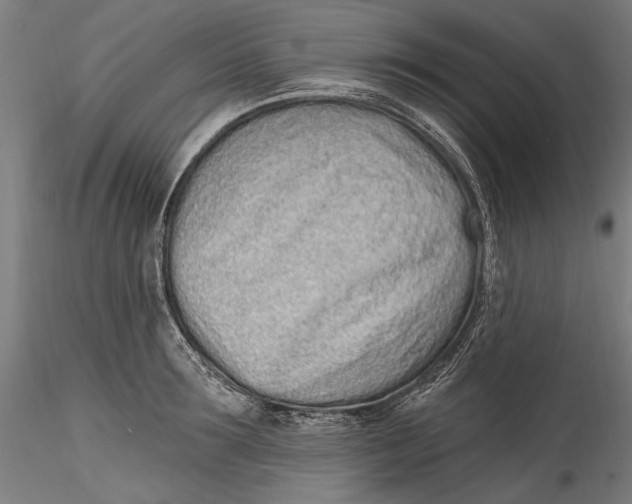 X0000115520899200911271320