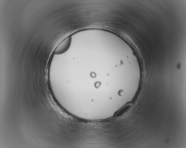 X0000115520900200911271320