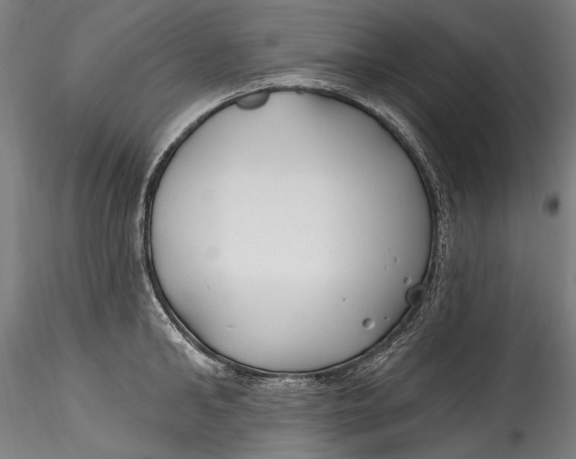 X0000115520902200911271320