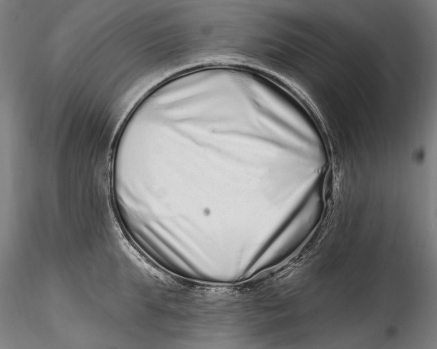 X0000115520903200911271320