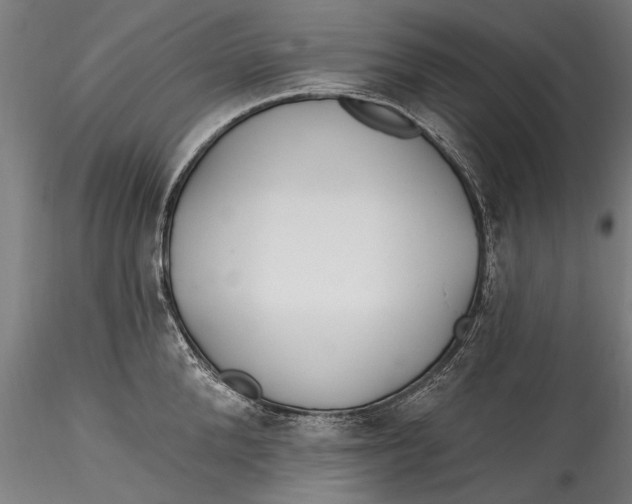 X0000115520904200911271320