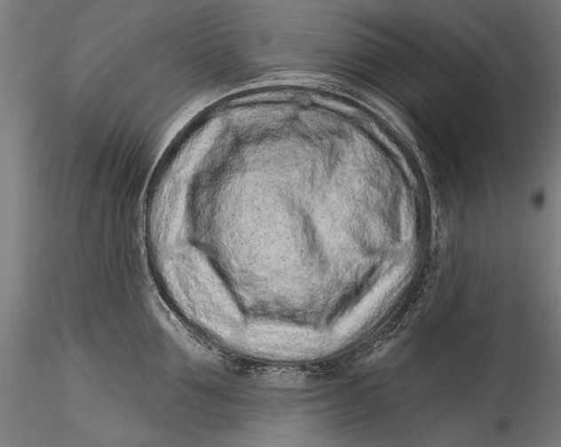 X0000115520907200911271320