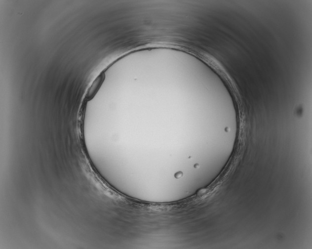 X0000115520908200911271320