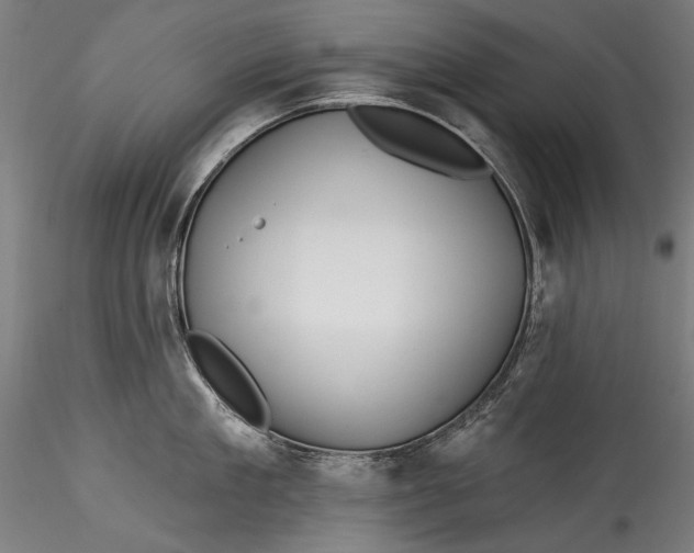 X0000115520909200911271320