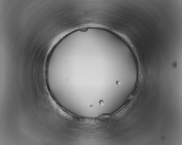 X0000115520910200911271320