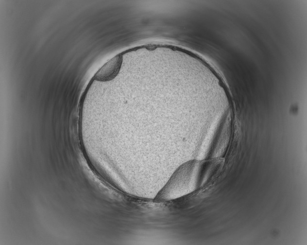 X0000115520911200911271320