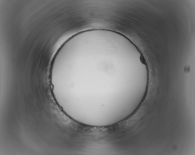 X0000115520912200911271320