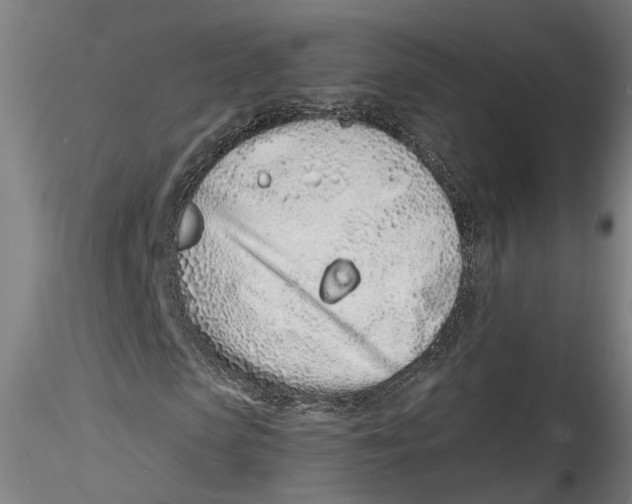 X0000115520913200911271319