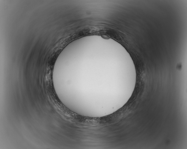 X0000115520914200911271319