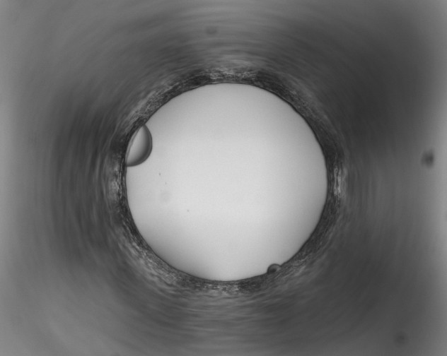 X0000115520915200911271319