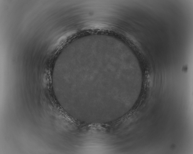 X0000115520918200911271319