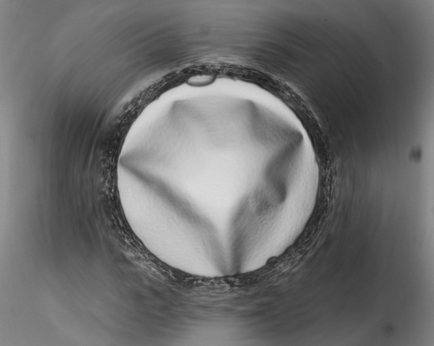 X0000115520919200911271319