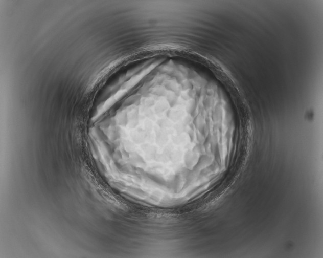 X0000115520921200911271319