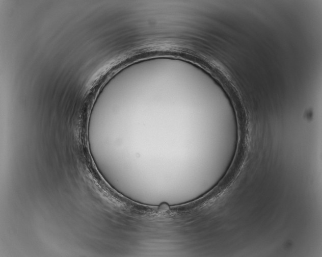 X0000115520922200911271319